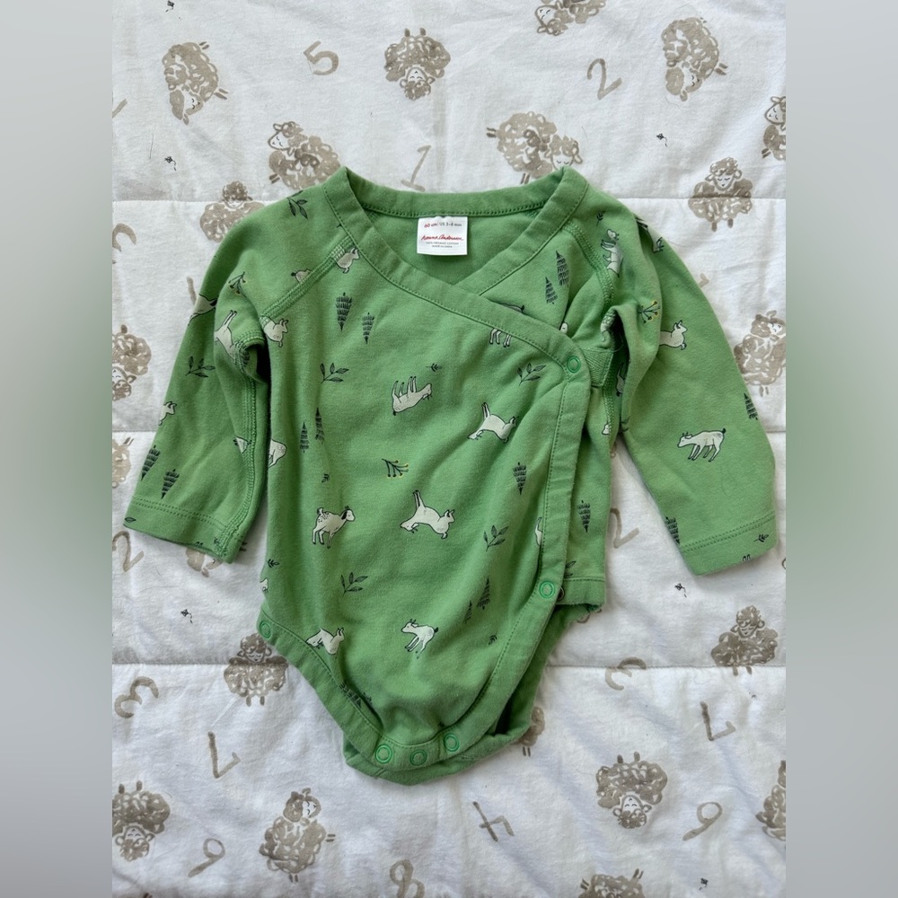 Hanna Andersson Onesie